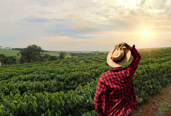 istockphoto-845602292-612x612